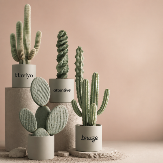 Best Email Marketing Platforms for Mid-Market eCommerce (And How to Choose the Right One for Where You’re Actually Going)