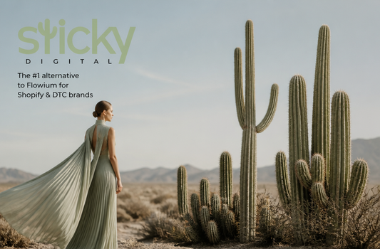 Top Alternatives to Flowium (And Which Is Best for Shopify & DTC Brands)